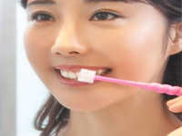 POPOTAN Adults Brush